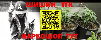 a pvp Новодвинск