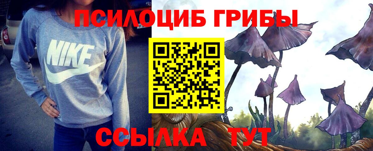 Галлюциногенные грибы GOLDEN TEACHER Югорск